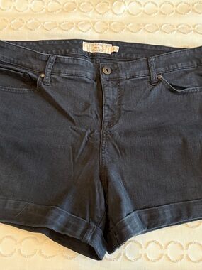 torrid Black Jean Shorts